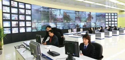 專業(yè)群巡禮 青島港灣職業(yè)學(xué)院信息技術(shù)專業(yè)群，信息技術(shù)咨詢服務(wù)探析